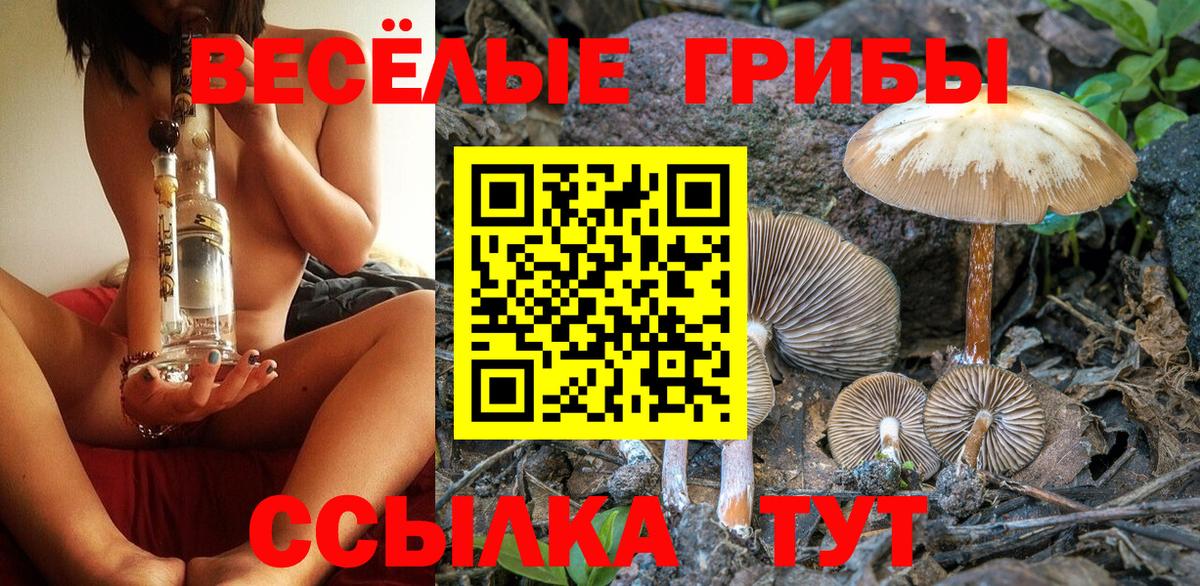 Галлюциногенные грибы мухоморы Копейск